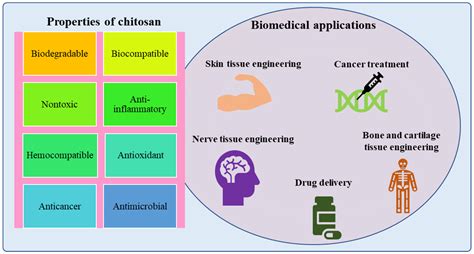 Quitosana: Um Material Versátil e Biocompatível para Aplicações em Engenharia de Tecidos!