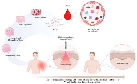  Fibrin: Um Biomaterial Fibrinoso Para Aplicações de Regeneração Tisular e Engenharia!